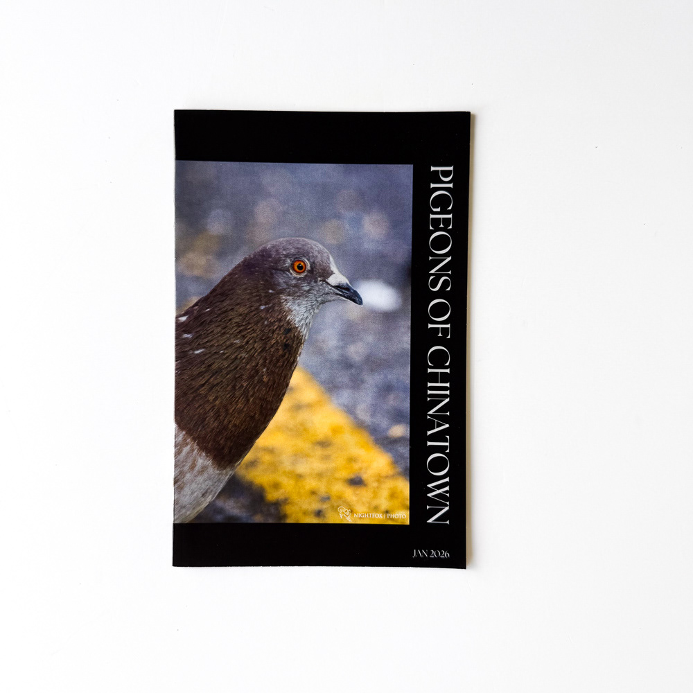 Cover of Pigeons of Chinatown by HZ&P Collective